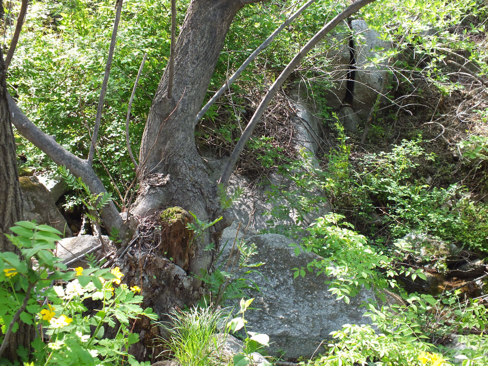 DSCF3639.JPG