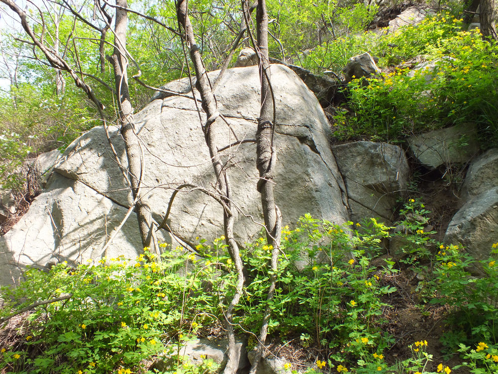 DSCF3648.JPG