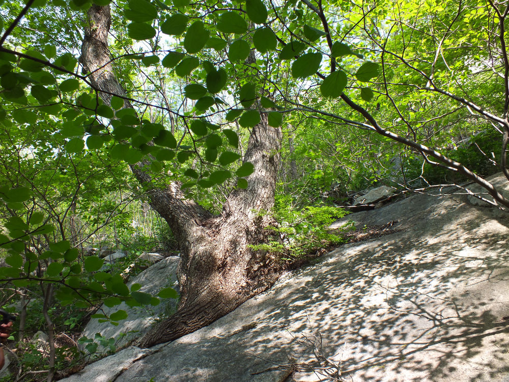 DSCF3698.JPG