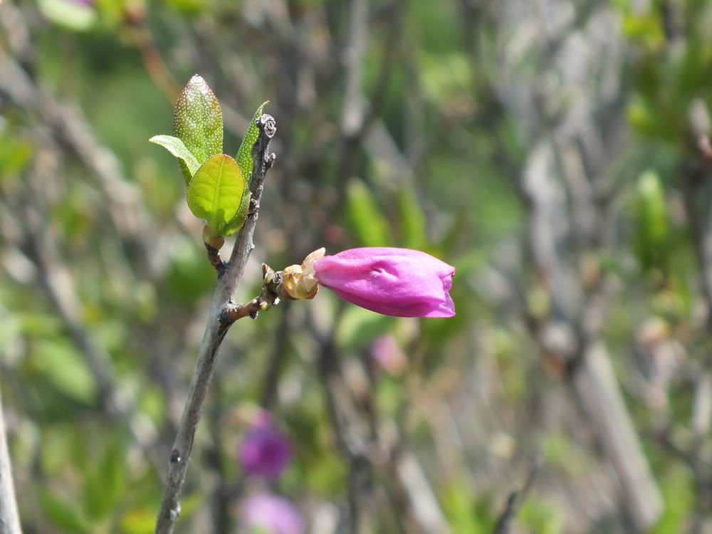 DSCF3760.JPG