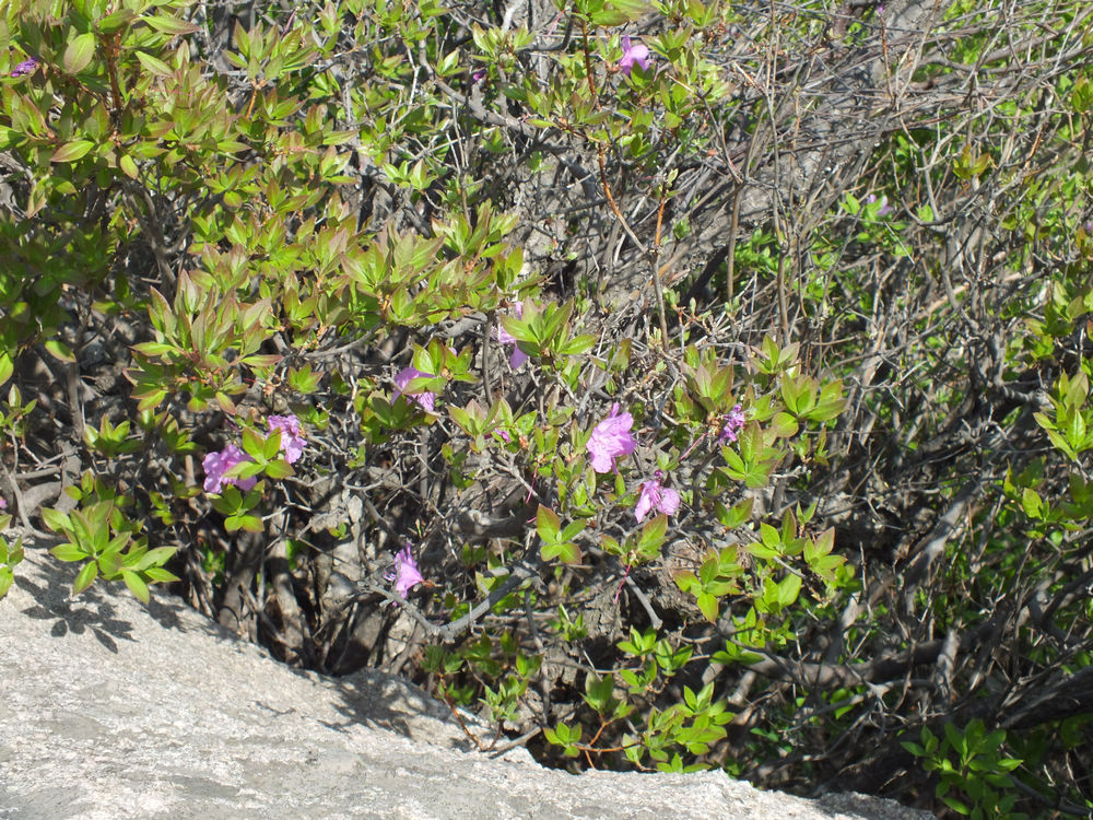 DSCF3730.JPG