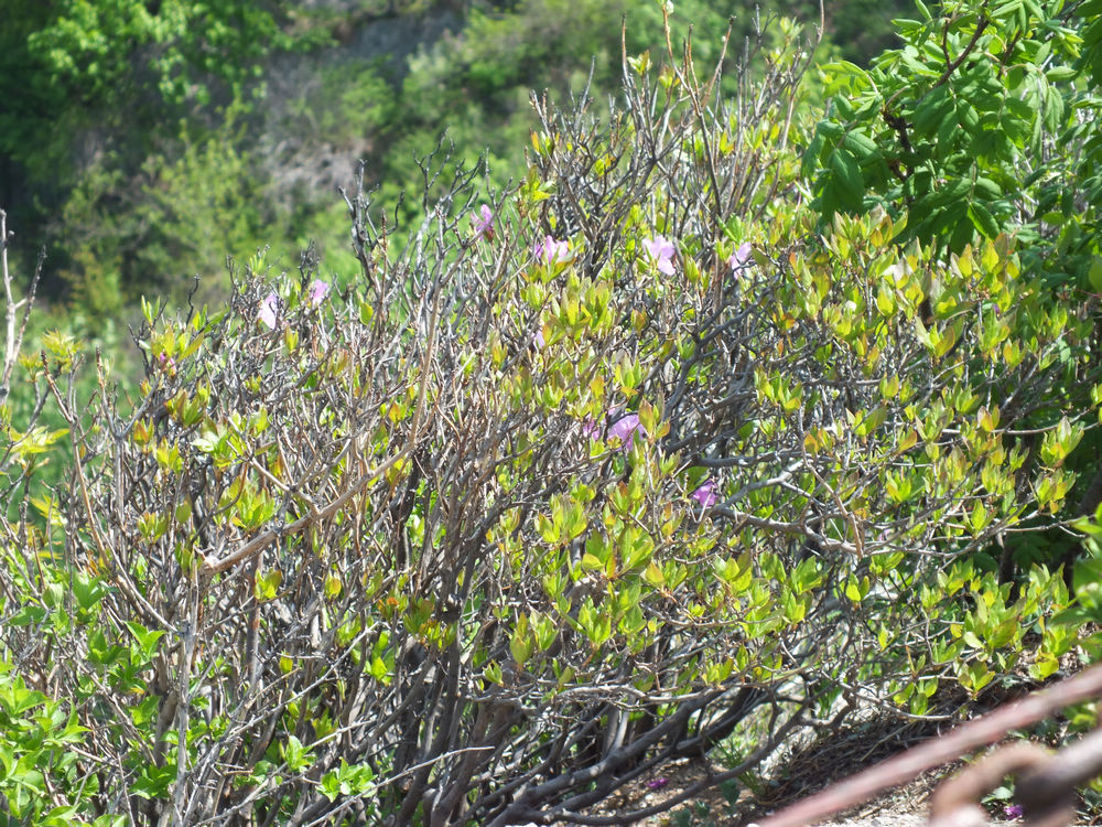 DSCF3728.JPG