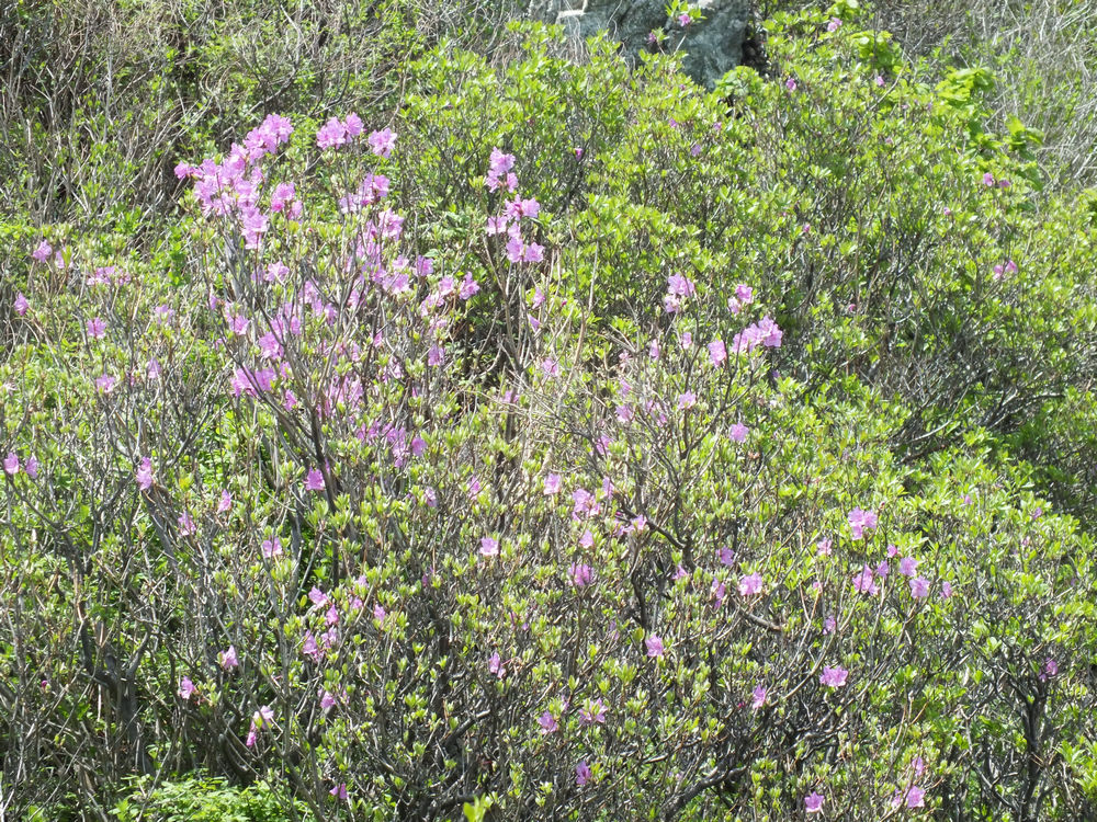 DSCF3784.JPG