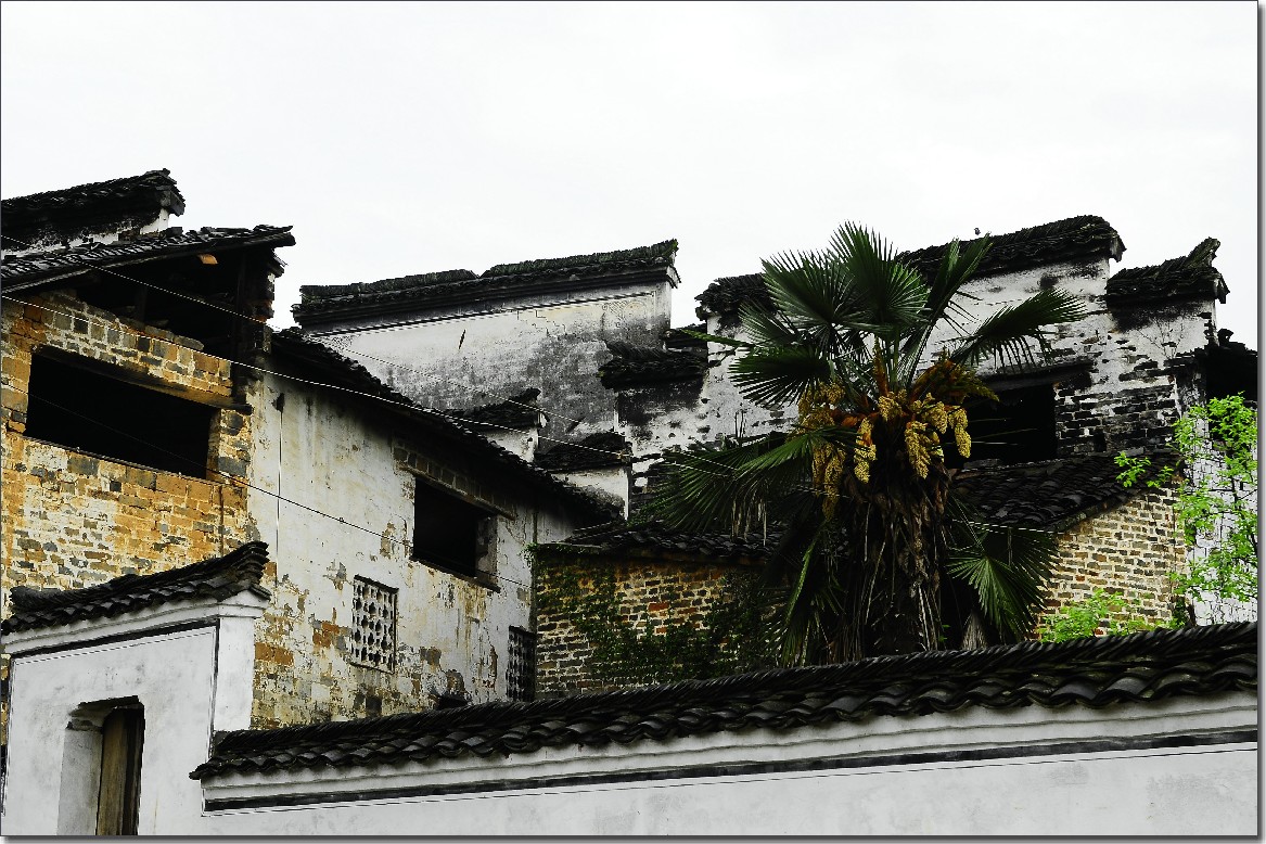 五一皖南行 628.jpg
