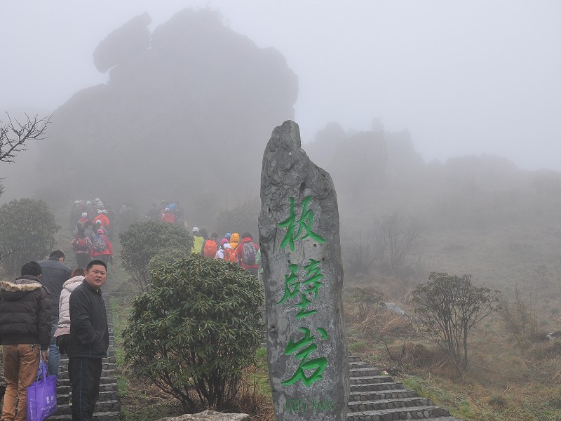 PhotoCap_599.jpg