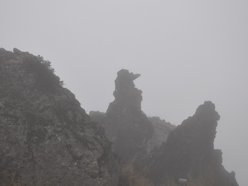PhotoCap_601.jpg