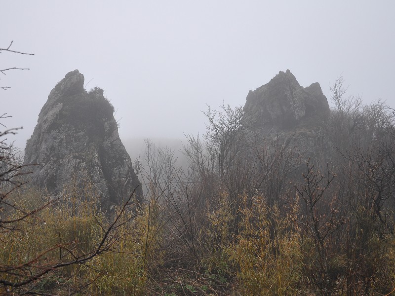 PhotoCap_607.jpg