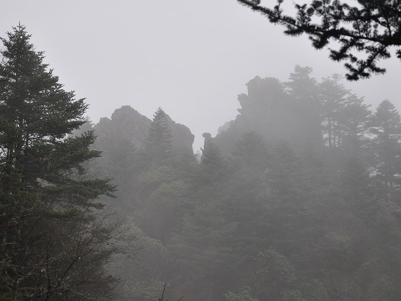 PhotoCap_653.jpg