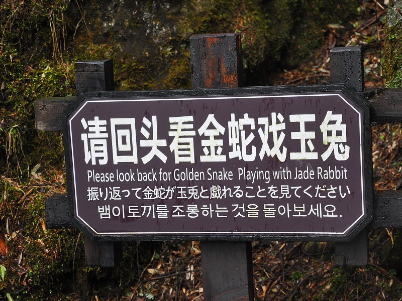 PhotoCap_654.jpg