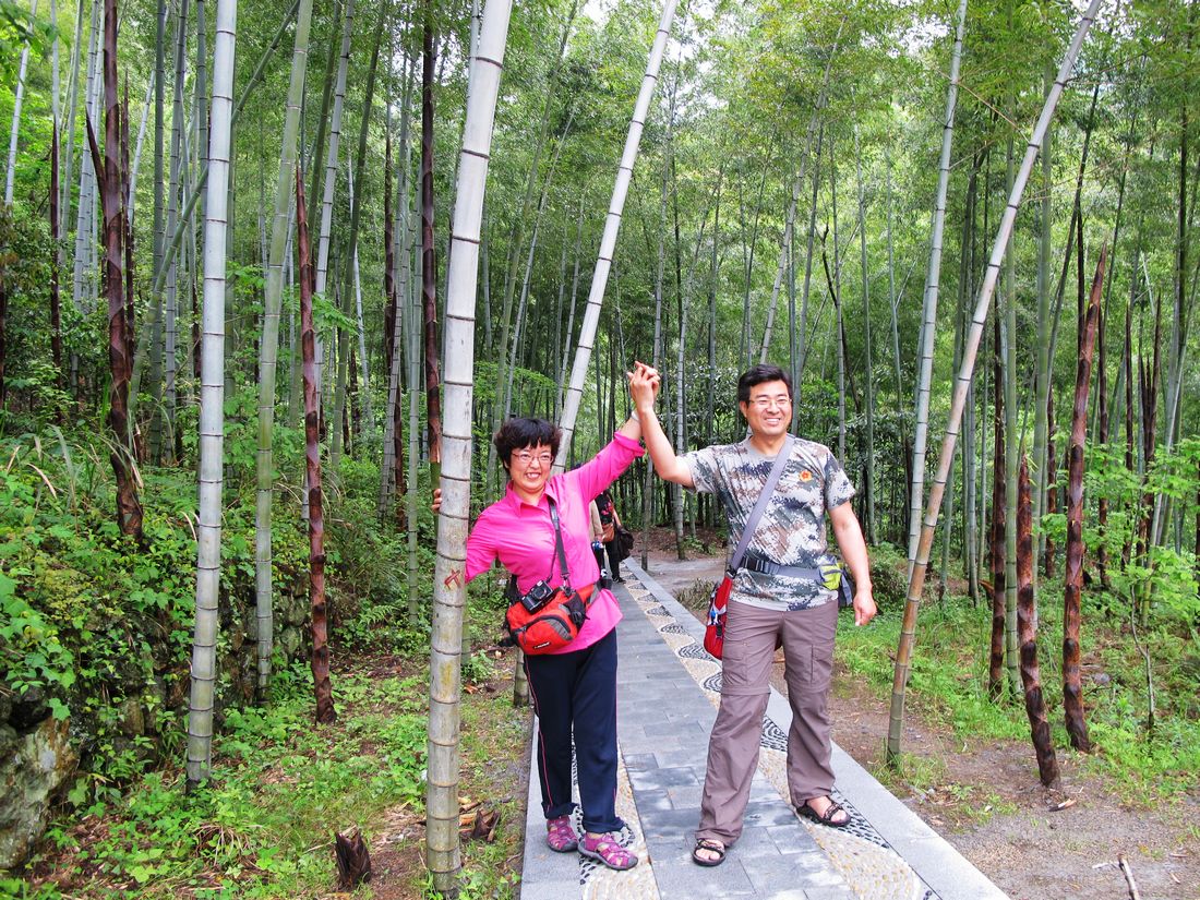 nEO_IMG_2012-04-28皖南仙寓山 337.jpg