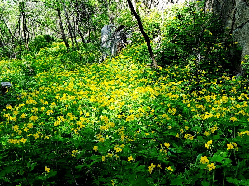 DSC03319.jpg