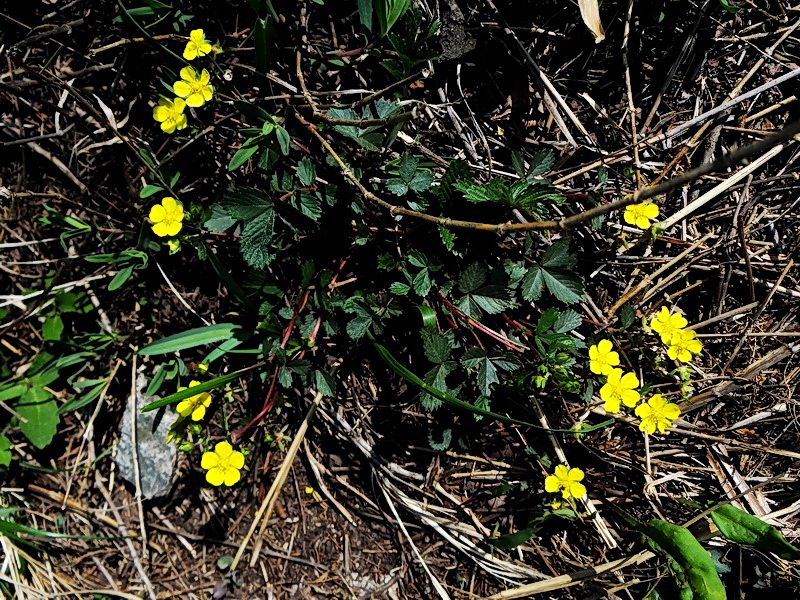 DSC03612.jpg