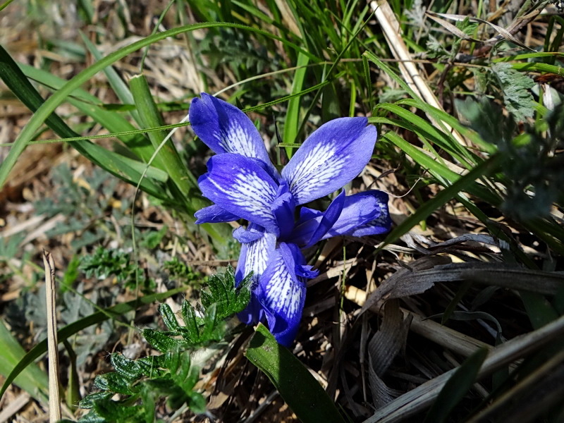 DSC03417.jpg