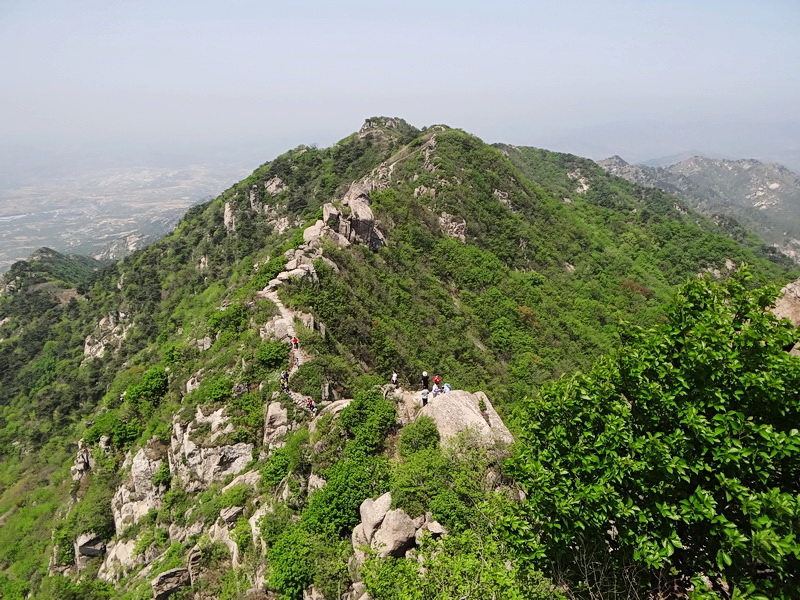 DSC03484.jpg