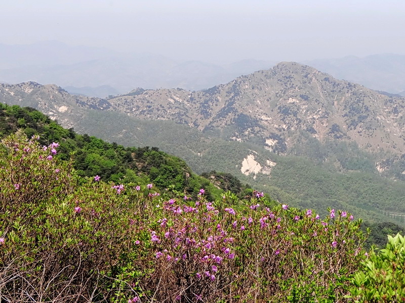 DSC03546.jpg