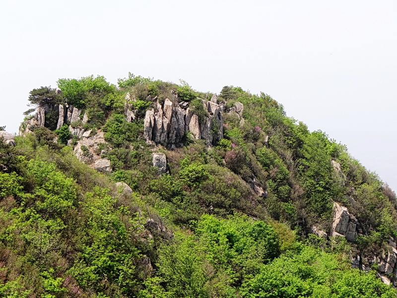DSC03542.jpg