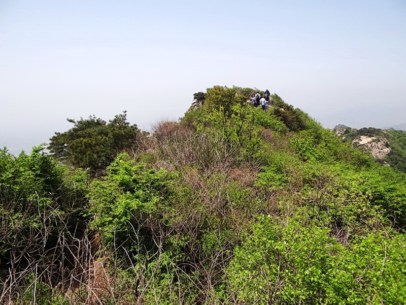 DSC03547.jpg