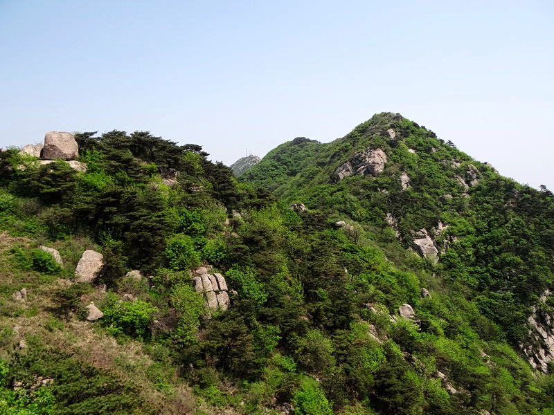 DSC03585.jpg