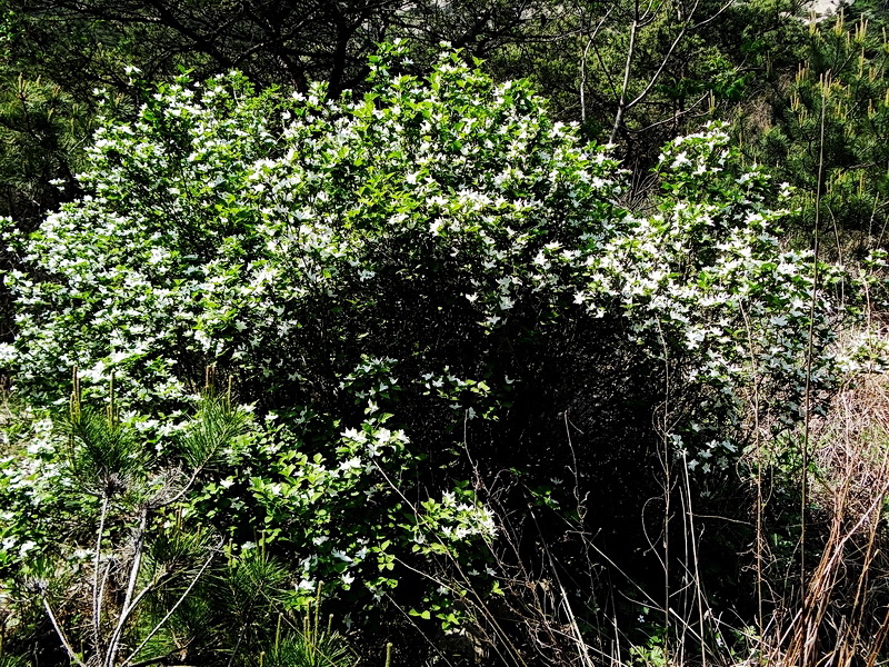 DSC03623.jpg