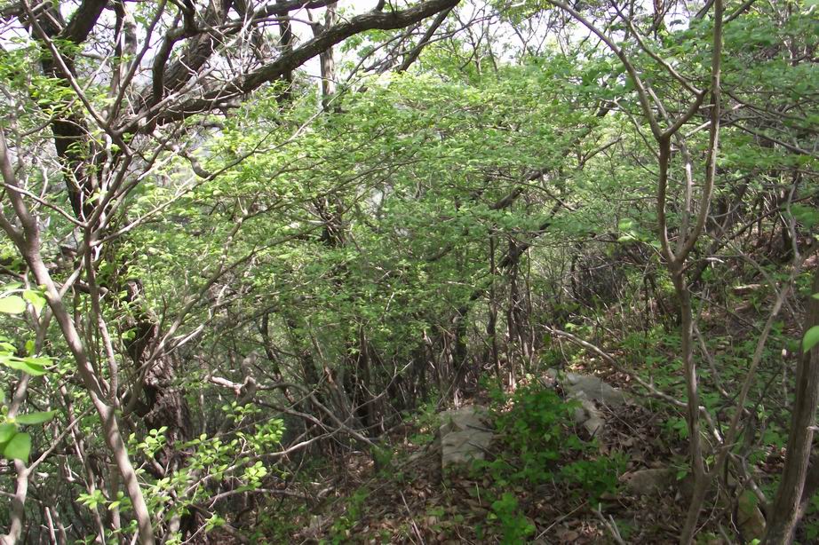 DSCF6298.JPG