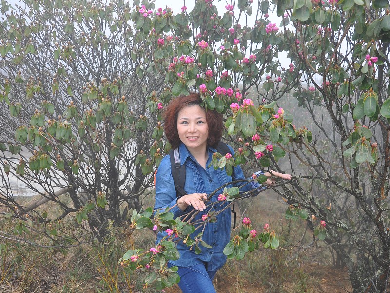PhotoCap_785.jpg