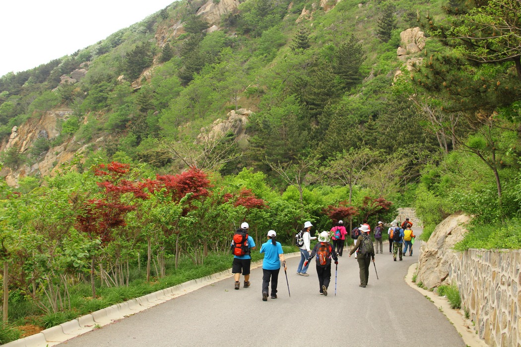 5.12大南山 151.jpg