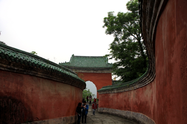 IMG_6879.JPG