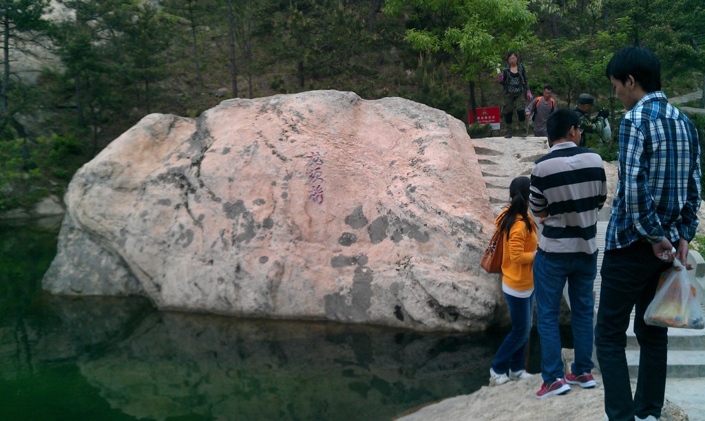 IMAG0313.jpg