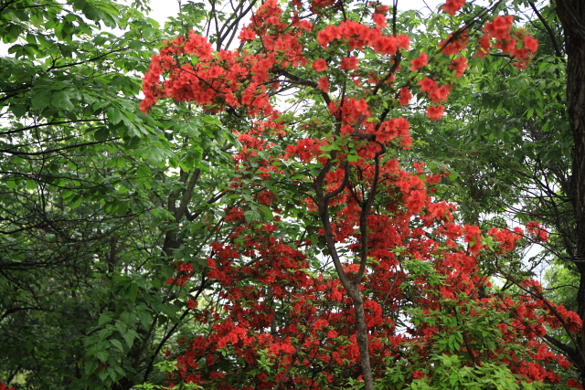 IMG_6913.JPG