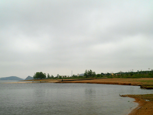 SAM_5520_副本.jpg