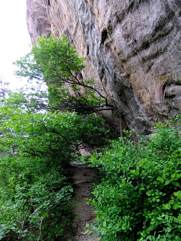 DSCF6130.jpg