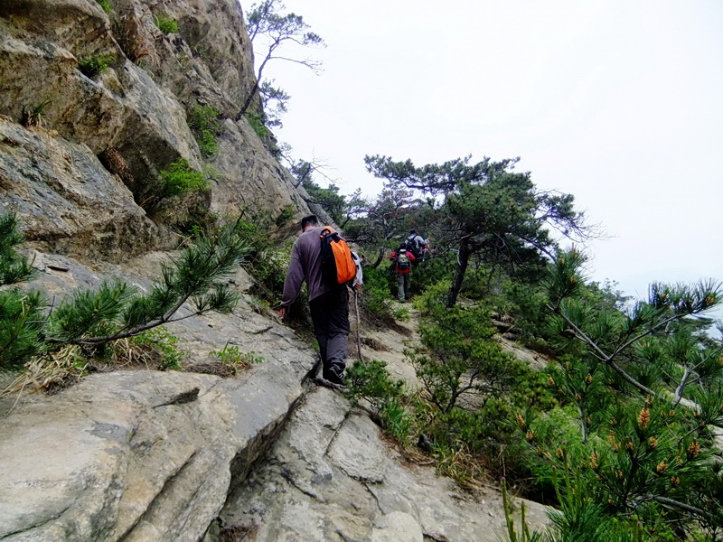 DSCF6153.jpg