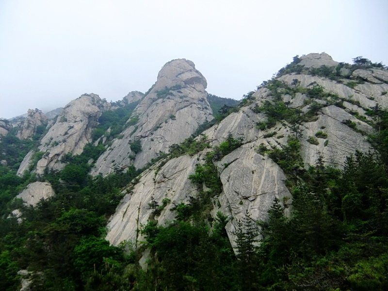 DSCF6158.jpg