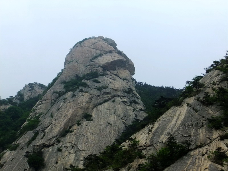 DSCF6160.jpg