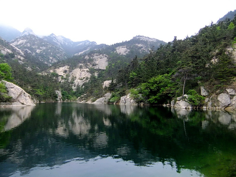 DSCF6175.jpg