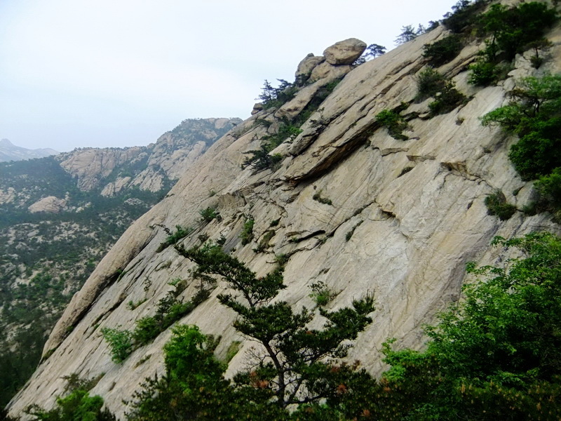 DSCF6188.jpg