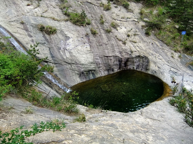 DSCF6203.jpg