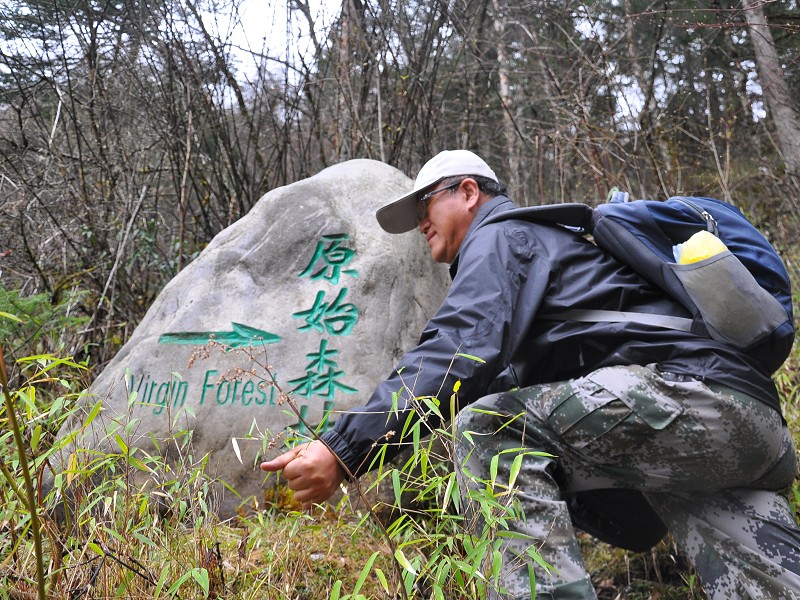 PhotoCap_830.jpg