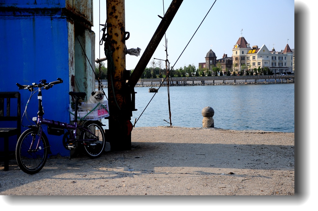 DSC_0633.jpg