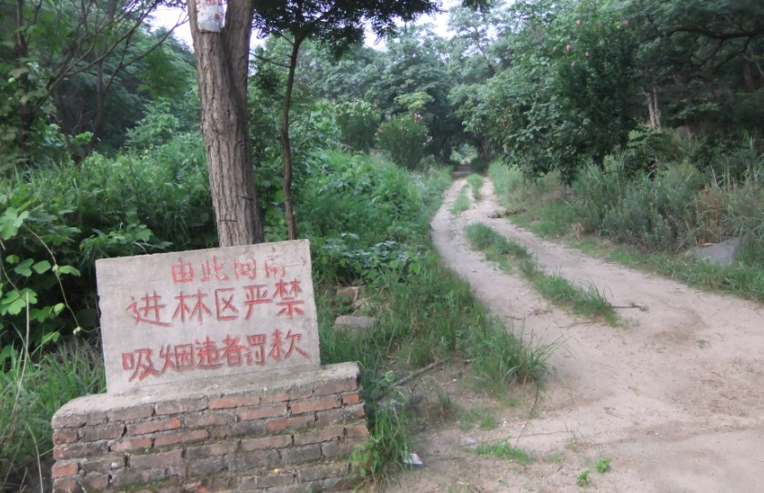 严禁烟火.jpg