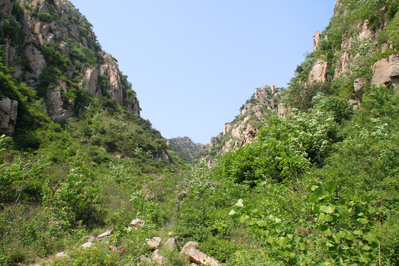 IMG_5768.jpg