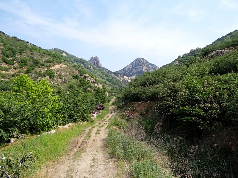 DSC03716.jpg