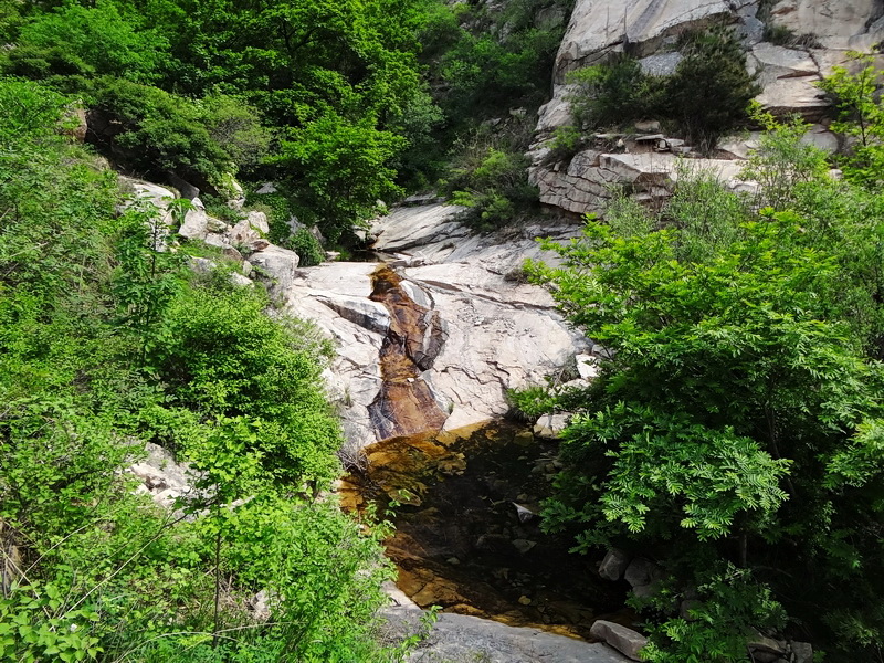 DSC03733.jpg
