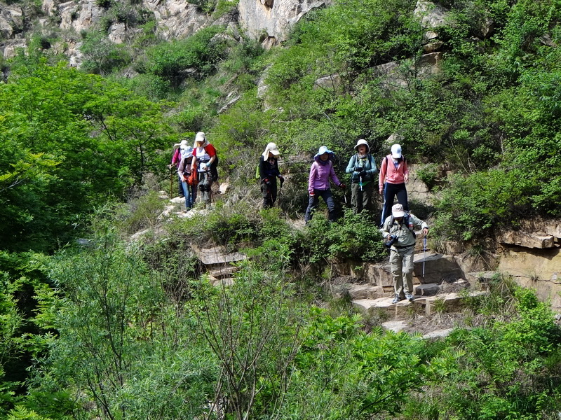 DSC03736.jpg