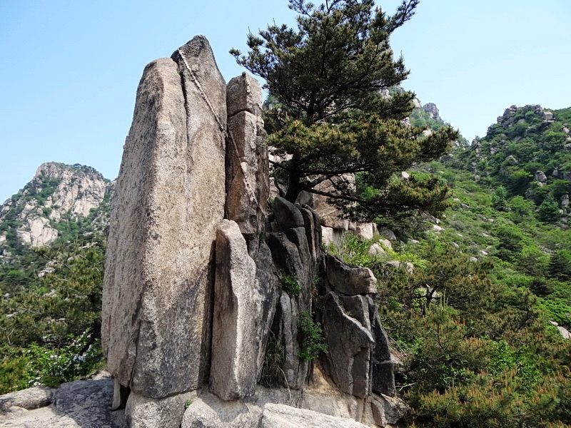 DSC03832.jpg