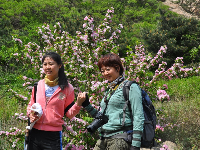 PhotoCap_174.jpg