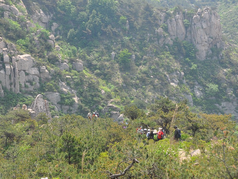 PhotoCap_191.jpg