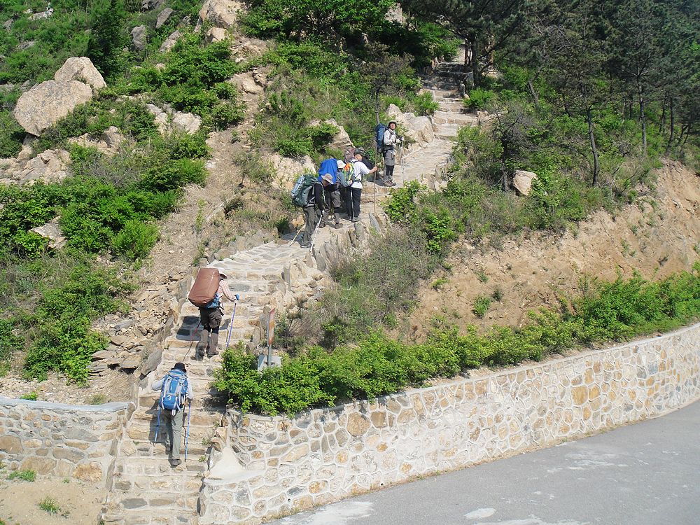 DSC01201.jpg