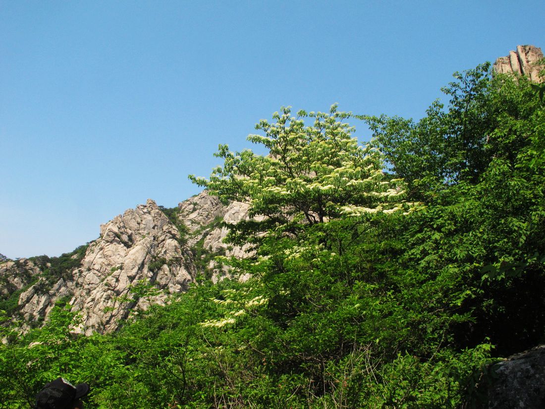 nEO_IMG_2012-5-22孔雀石 084.jpg
