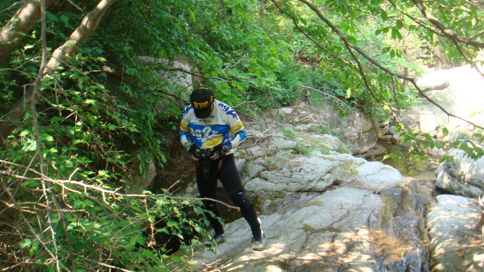 nEO_IMG_DSC00595.jpg